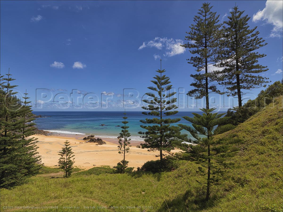 Peter Bellingham Photography Anson Bay - Norfolk Island - NSW SQ (PBH4 00 12135)